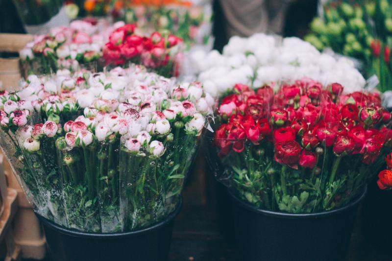 fleuriste-TAVERNES-min_farmers-market-1209712